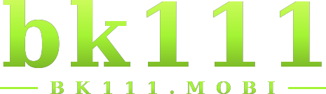bk111 logo